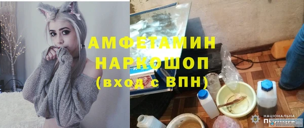 молекула духа Тында