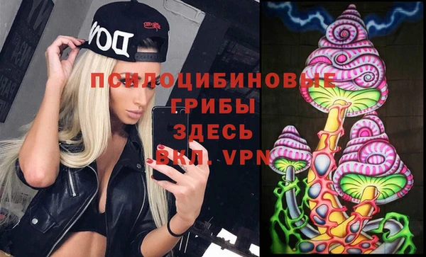 a pvp Алзамай