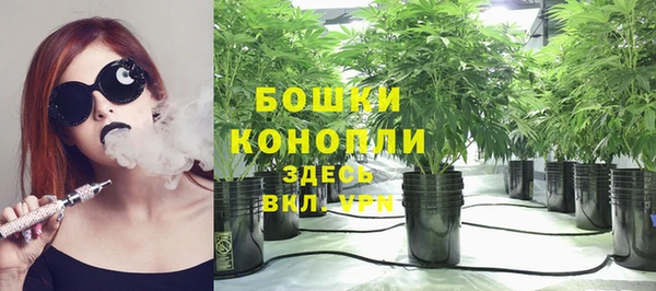 ПСИЛОЦИБИНОВЫЕ ГРИБЫ Алексеевка
