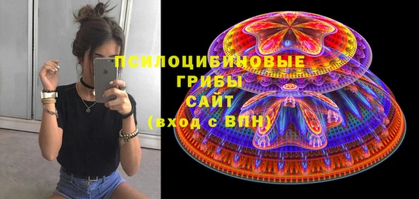 ПСИЛОЦИБИНОВЫЕ ГРИБЫ Алексеевка