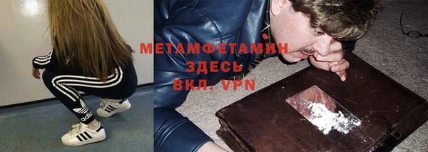 крисы Алексин